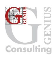 Agencija Genius Consulting